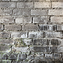 Image showing Brick old grunge mouldy wall background