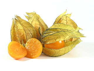 Image showing physalis