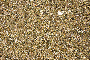 Image showing Sandy ground on a beach