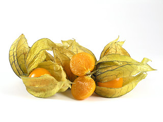 Image showing physalis