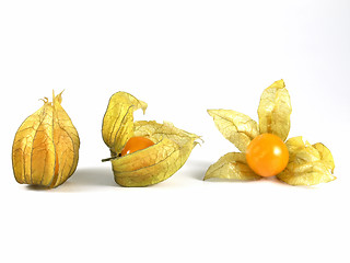 Image showing physalis