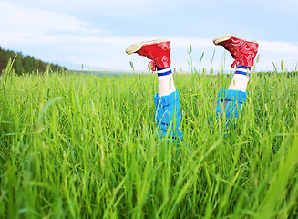 Image showing Amusing feet cheerfully sticking out of a grass