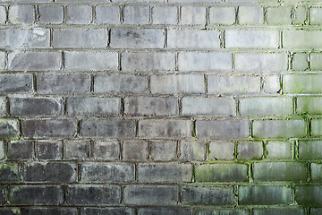 Image showing Background with mustiness old grunge brick wall