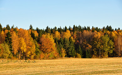Image showing Fall view