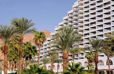 Image showing Palmtrees and Hotel