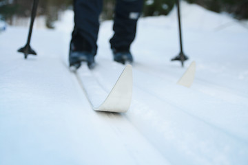 Image showing Ski race