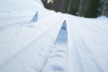 Image showing Ski track