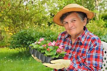 Image showing Senior woman - gardening