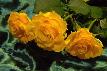 Image showing roses