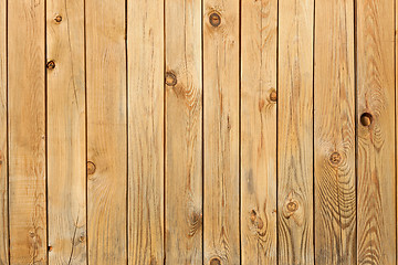 Image showing Background from pine boards with knots