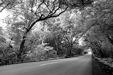 Image showing Road on Curacao