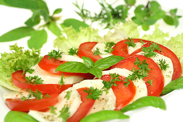 Image showing Vegetarian lunch