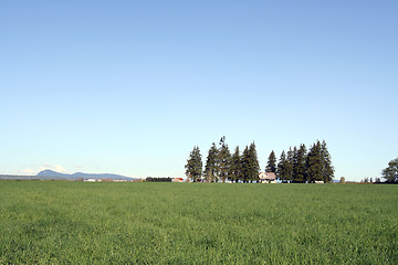 Image showing Rural landscape