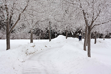 Image showing Dark winter day