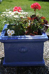 Image showing Garden pot