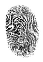 Image showing Black fingerprint isolated on white
