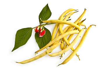 Image showing Yellow beans with a flower