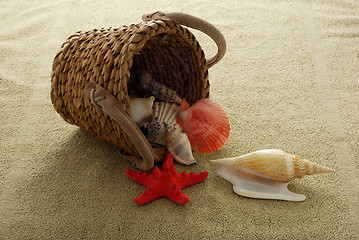 Image showing Shells spilled from interwoven basket onto sand colored towel