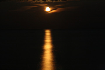 Image showing Moonlight