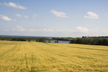 Image showing Golden Farmer's Field