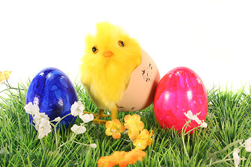 Image showing Easter eggs and chicks on a meadow