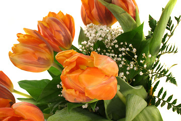 Image showing tulips