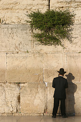 Image showing Western wall