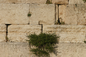 Image showing Western wall