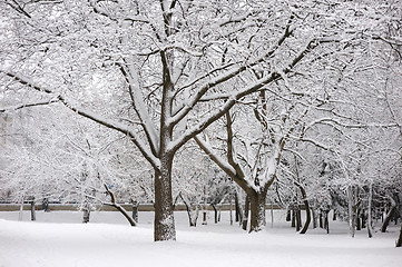 Image showing Winter landscape in the city