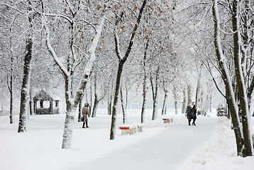 Image showing Winter landscape in the city