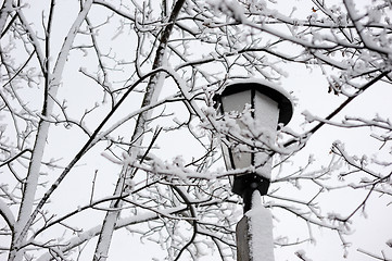 Image showing Winter landscape