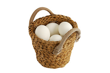 Image showing All eggs in same basket