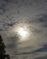 Image showing Cloud Cover