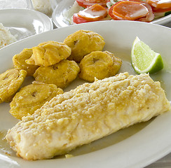 Image showing fresh fish fillet with tostones Corn Island Nicarauga