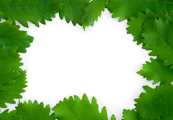 Image showing Green leaves on paper frame background isolated