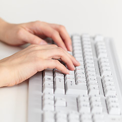 Image showing Female hands work on computer keyboard