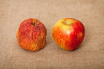 Image showing Two fruit against canvas - bad and good apples