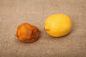 Image showing Two fruit against canvas - bad and good lemons