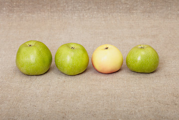 Image showing Four ripe apples against drapery