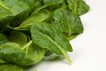 Image showing Spinach leaves