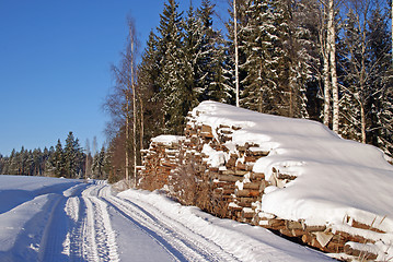 Image showing Timber Logs  Ready for Transport by Forest Road in Winter