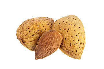Image showing Shelled and unshelled almonds