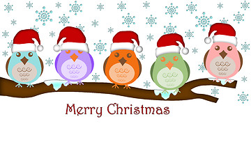 Image showing Five Birds with Santa Hat on Tree Branches