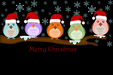 Image showing Five Birds with Santa Hat on Tree Branches