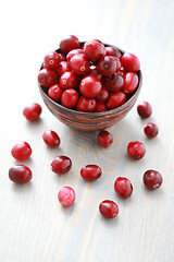 Image showing cranberries