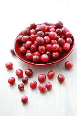 Image showing cranberries