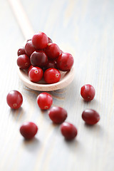 Image showing cranberries