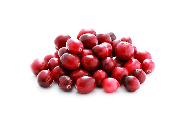 Image showing cranberries