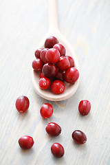 Image showing cranberries