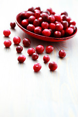 Image showing cranberries